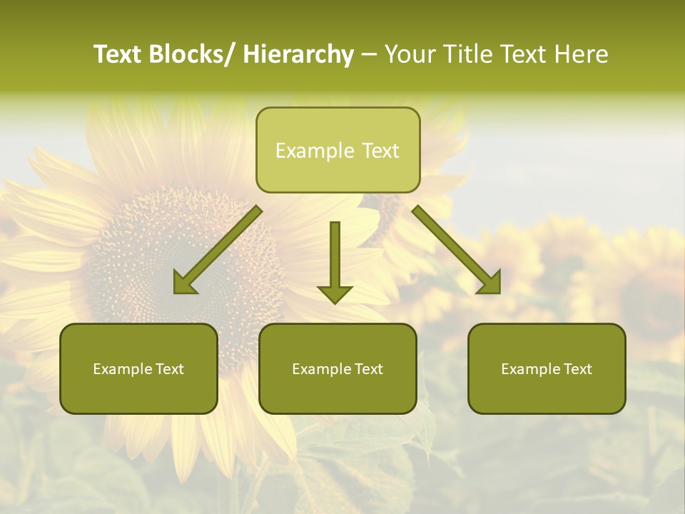 Circle Head Green PowerPoint Template