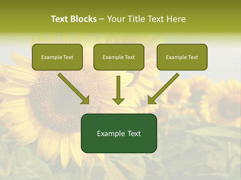 Circle Head Green PowerPoint Template