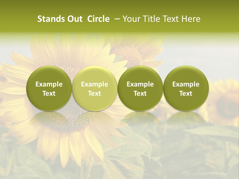 Circle Head Green PowerPoint Template