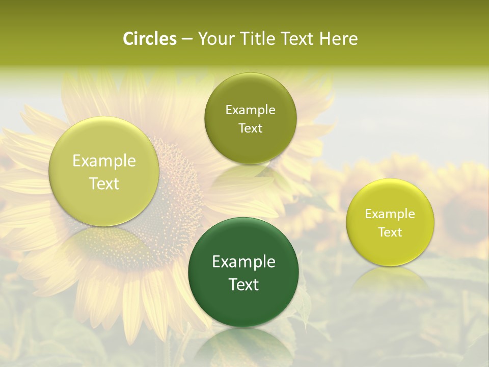 Circle Head Green PowerPoint Template