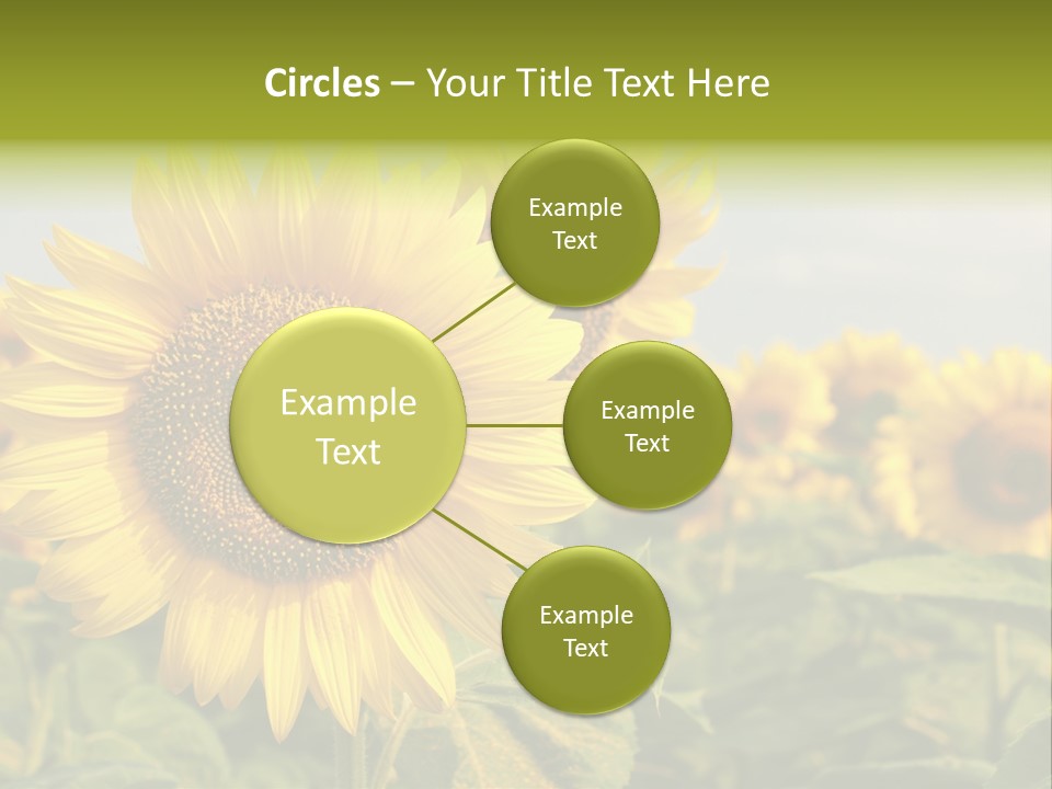 Circle Head Green PowerPoint Template