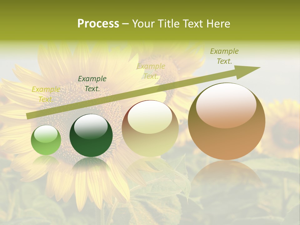 Circle Head Green PowerPoint Template