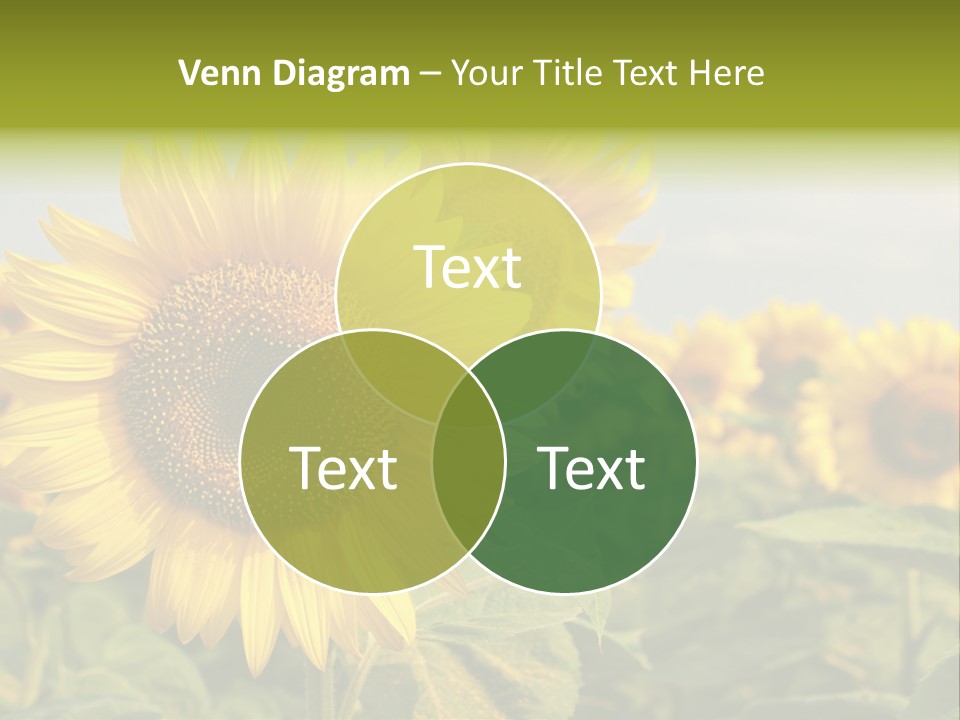 Circle Head Green PowerPoint Template