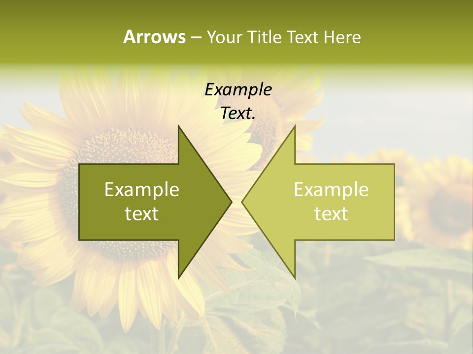 Circle Head Green PowerPoint Template
