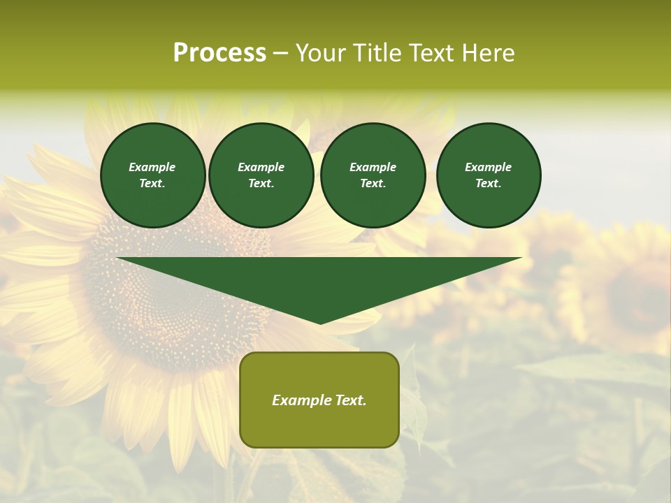 Circle Head Green PowerPoint Template