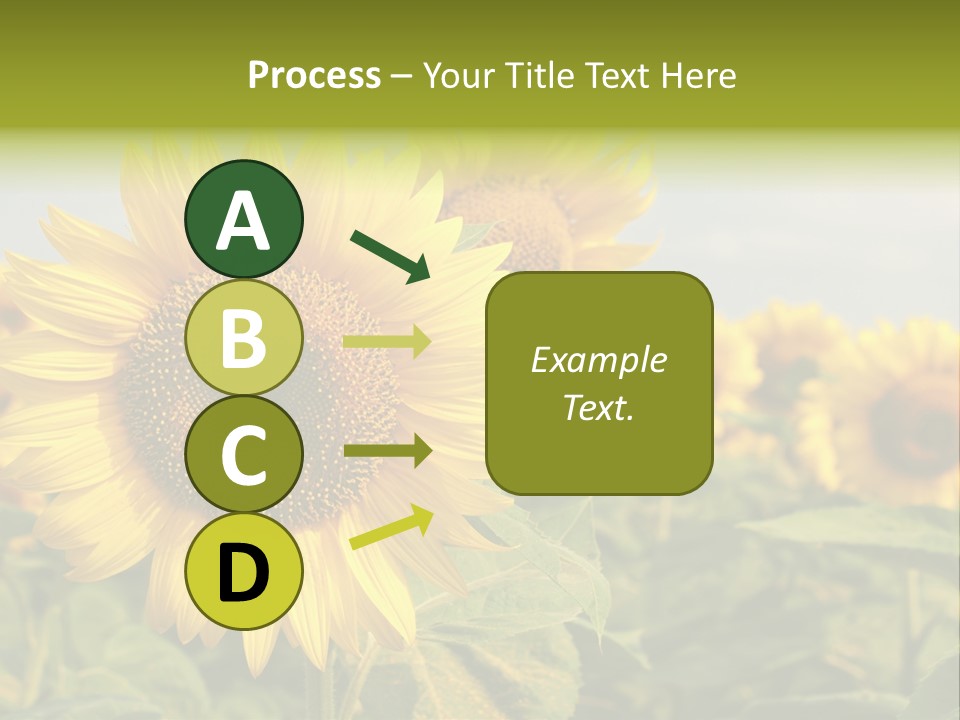 Circle Head Green PowerPoint Template