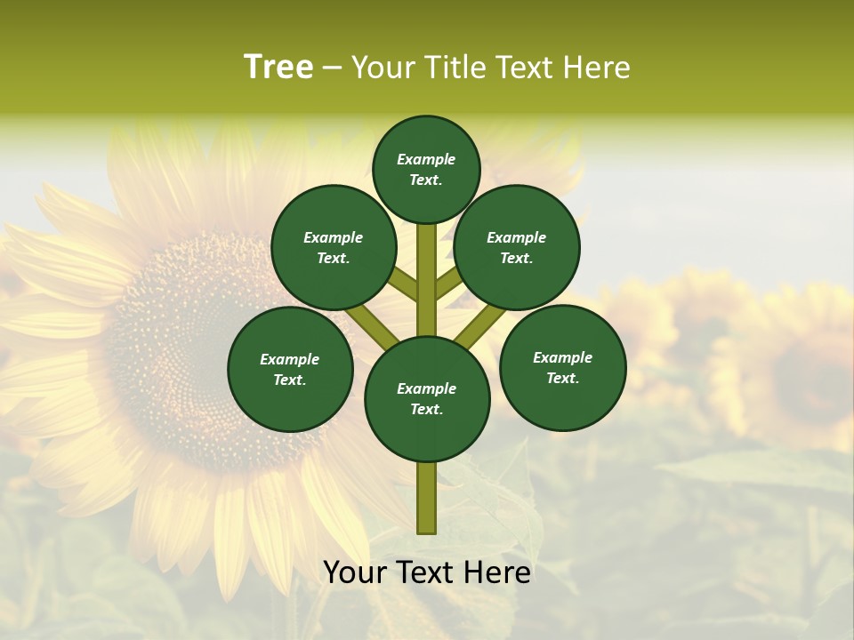 Circle Head Green PowerPoint Template