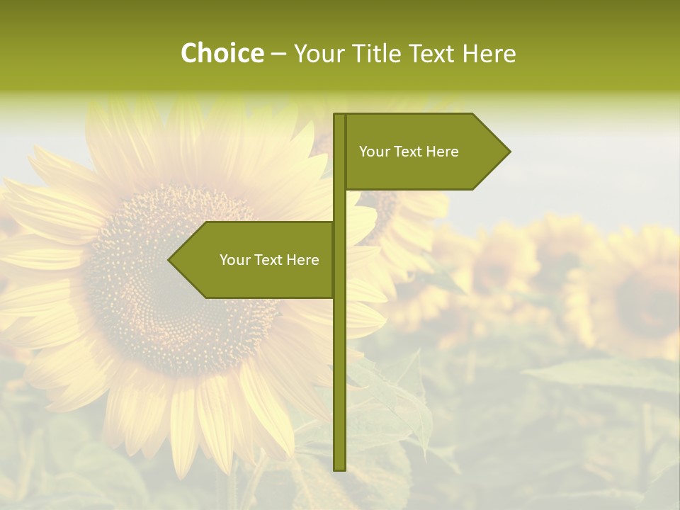 Circle Head Green PowerPoint Template