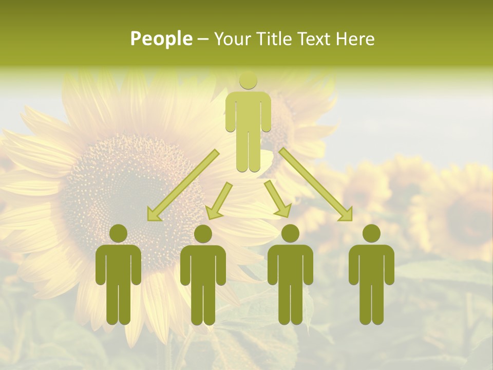 Circle Head Green PowerPoint Template