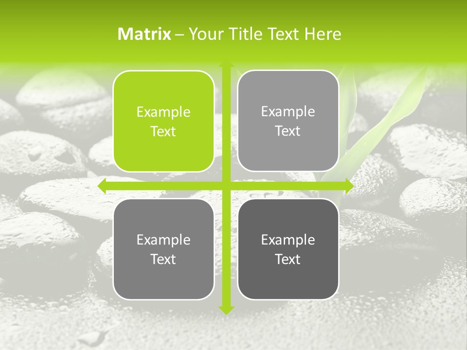 Handful Flora Stability PowerPoint Template