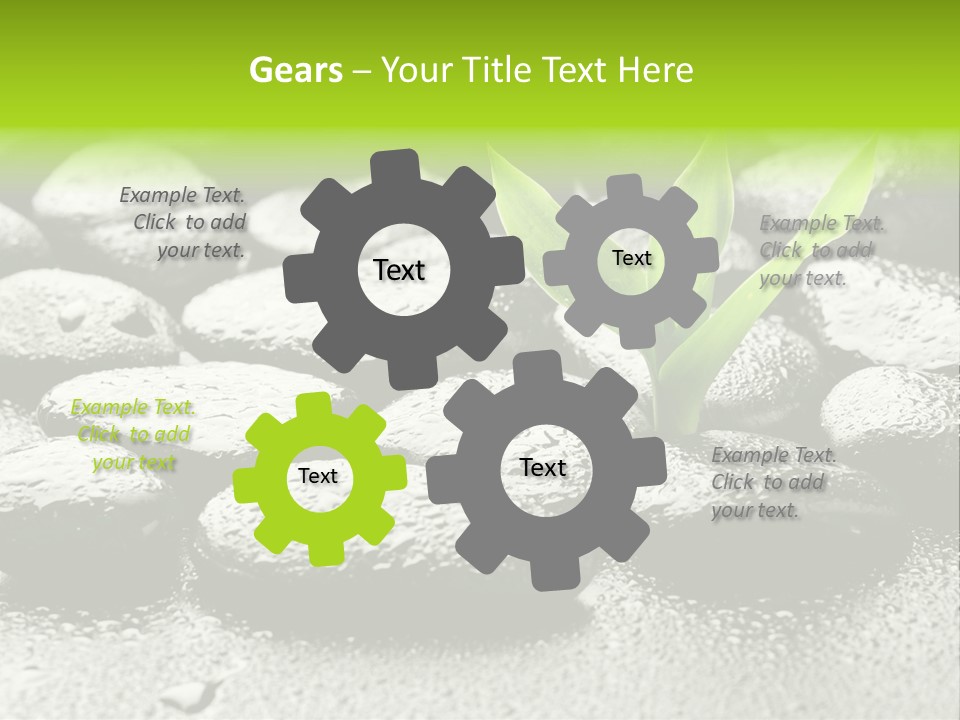 Handful Flora Stability PowerPoint Template