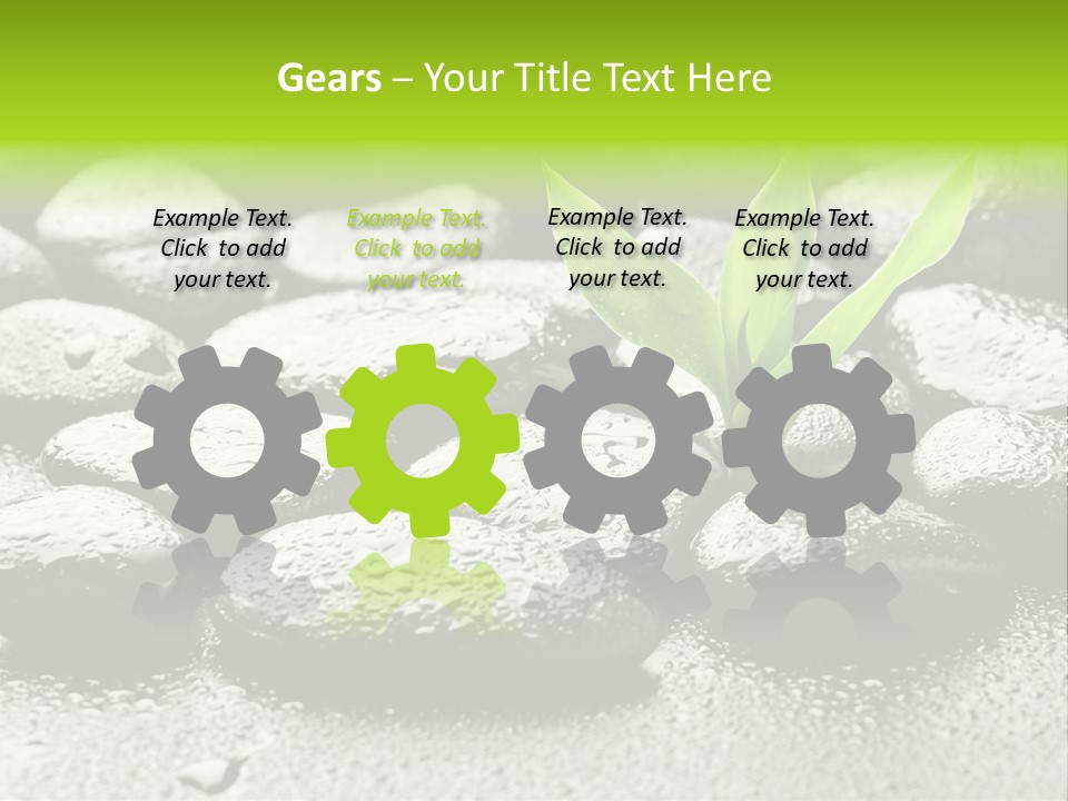 Handful Flora Stability PowerPoint Template