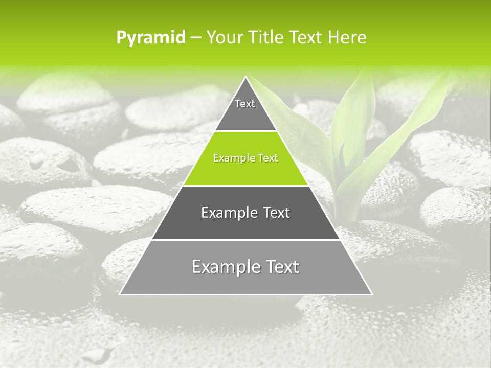 Handful Flora Stability PowerPoint Template