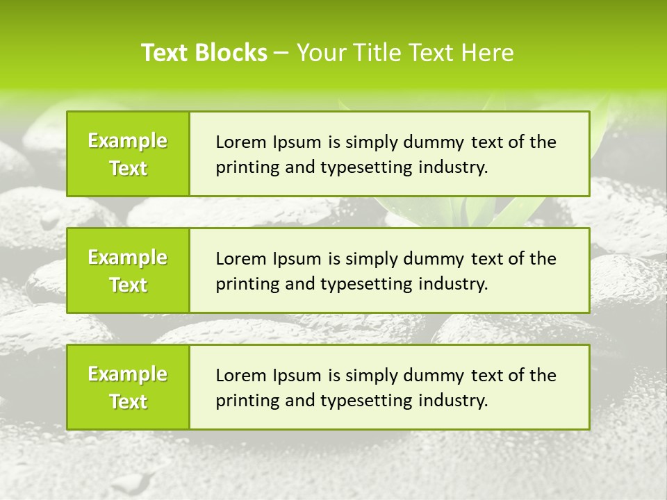 Handful Flora Stability PowerPoint Template