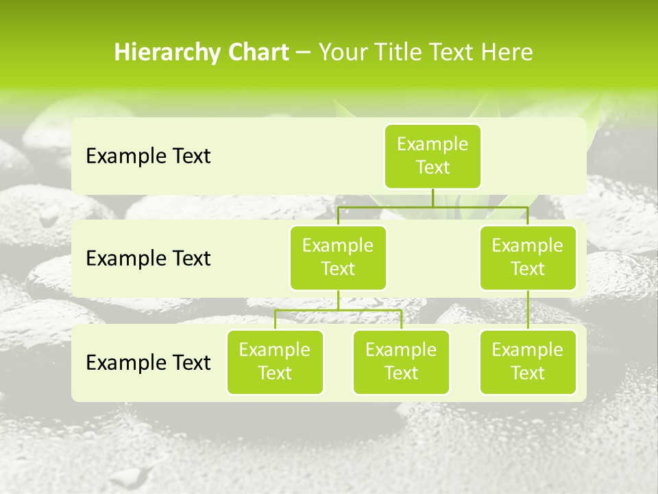 Handful Flora Stability PowerPoint Template