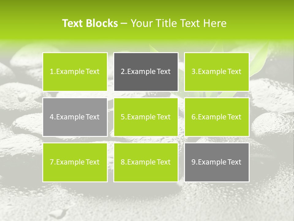 Handful Flora Stability PowerPoint Template
