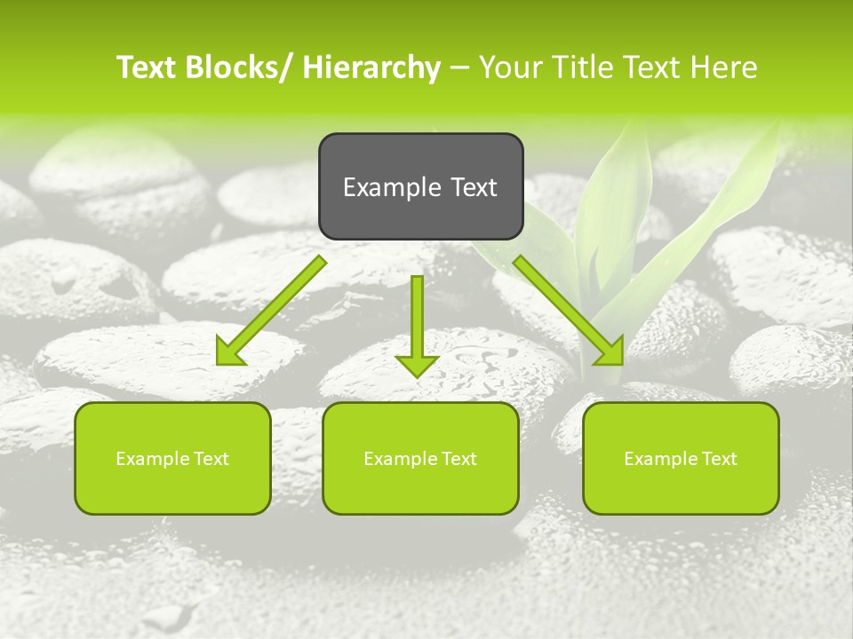 Handful Flora Stability PowerPoint Template