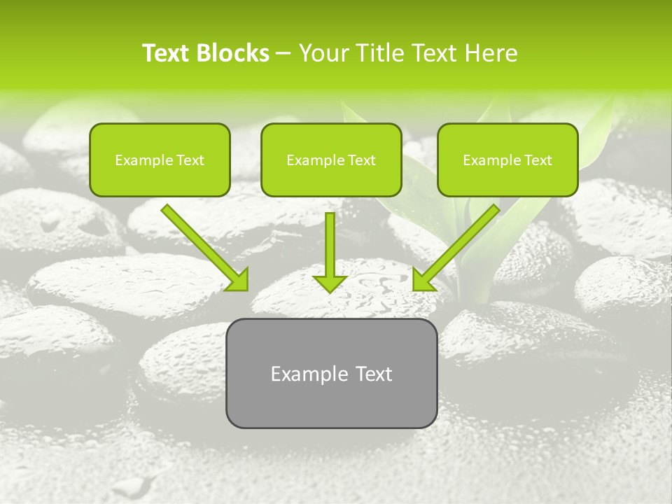 Handful Flora Stability PowerPoint Template