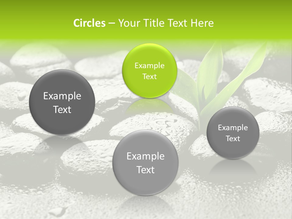 Handful Flora Stability PowerPoint Template