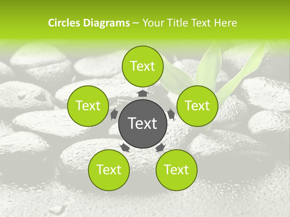 Handful Flora Stability PowerPoint Template