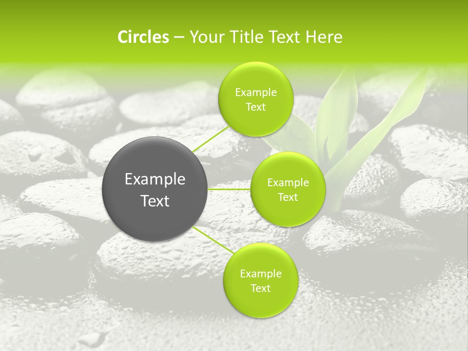 Handful Flora Stability PowerPoint Template