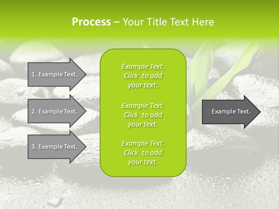 Handful Flora Stability PowerPoint Template