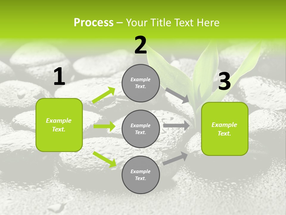 Handful Flora Stability PowerPoint Template