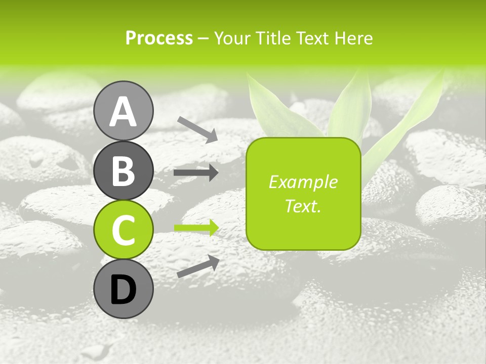 Handful Flora Stability PowerPoint Template