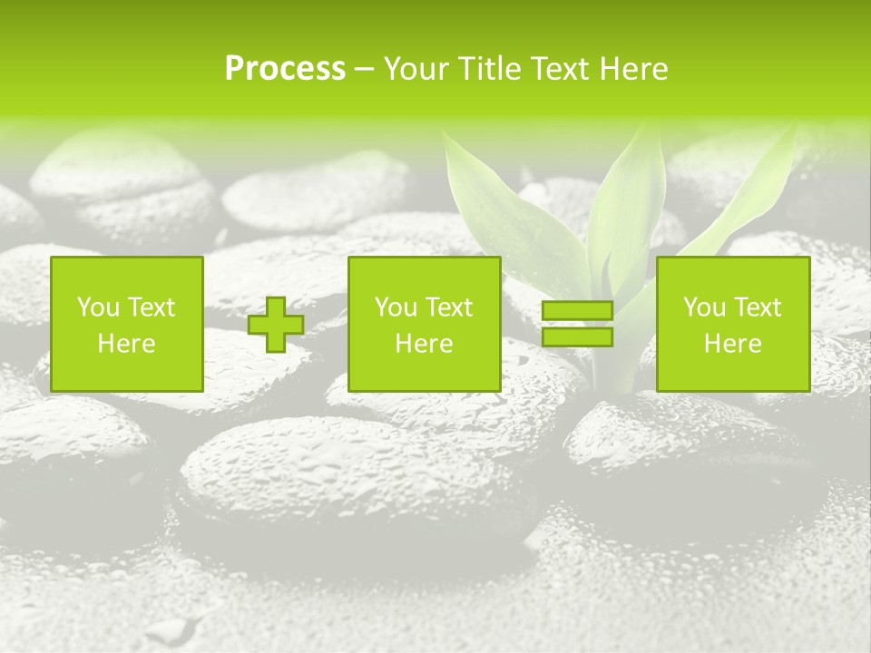 Handful Flora Stability PowerPoint Template