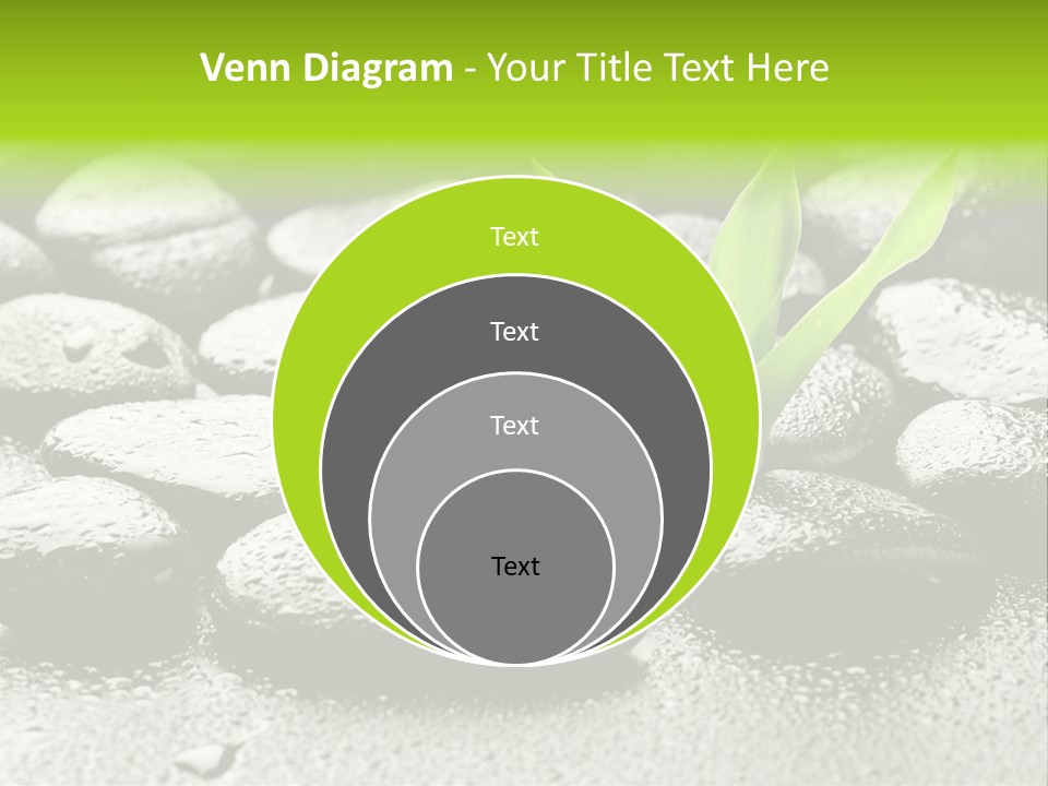 Handful Flora Stability PowerPoint Template