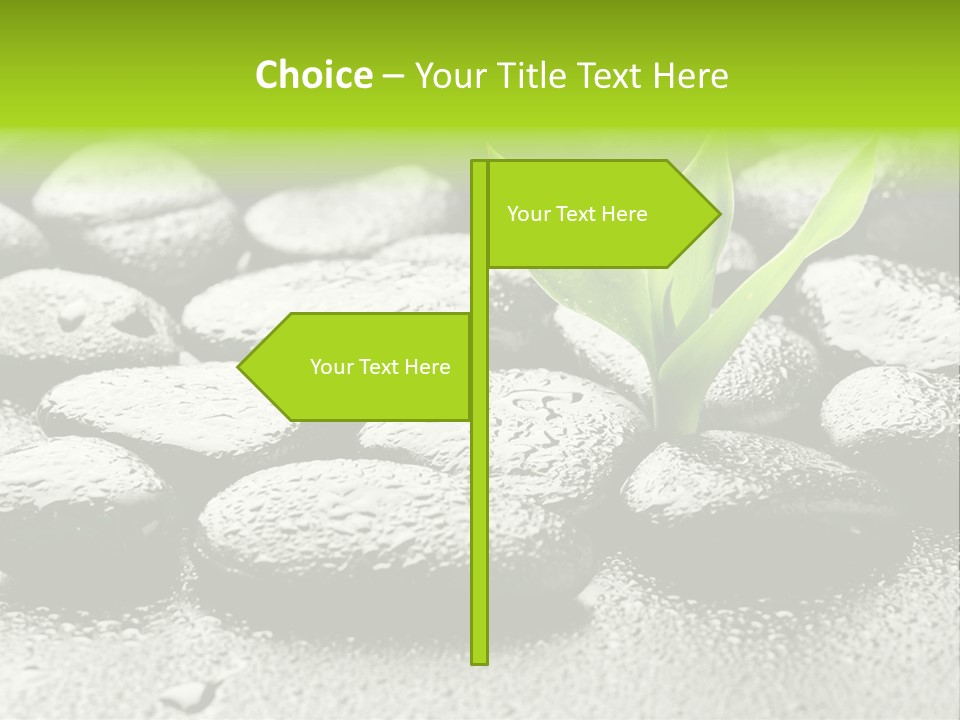 Handful Flora Stability PowerPoint Template