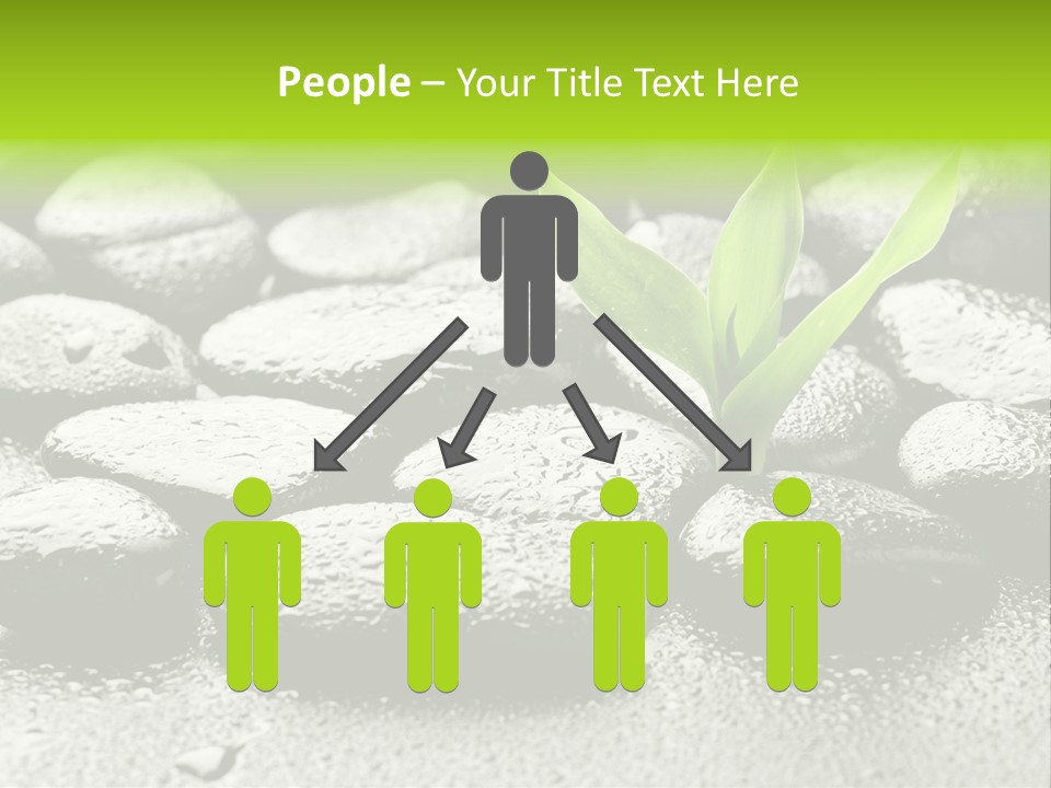 Handful Flora Stability PowerPoint Template