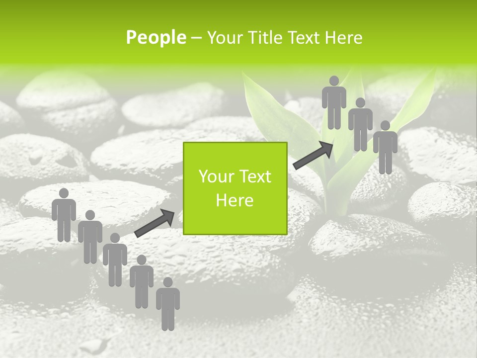 Handful Flora Stability PowerPoint Template