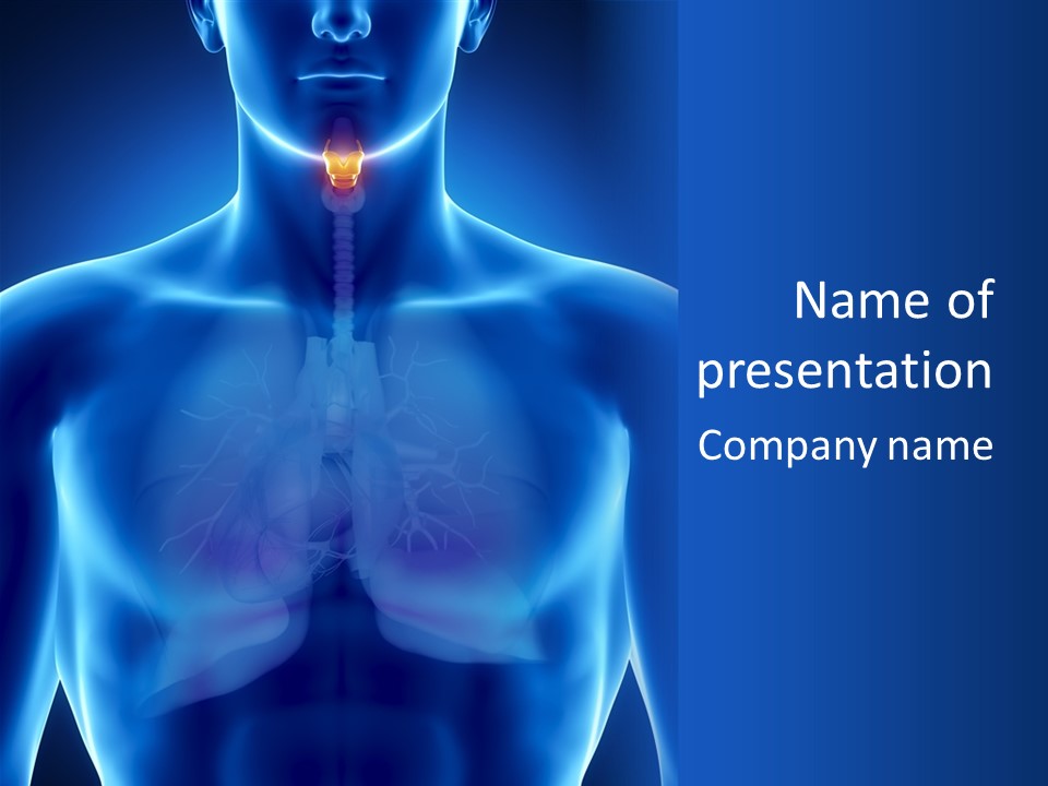 Torso Health Anatomy PowerPoint Template