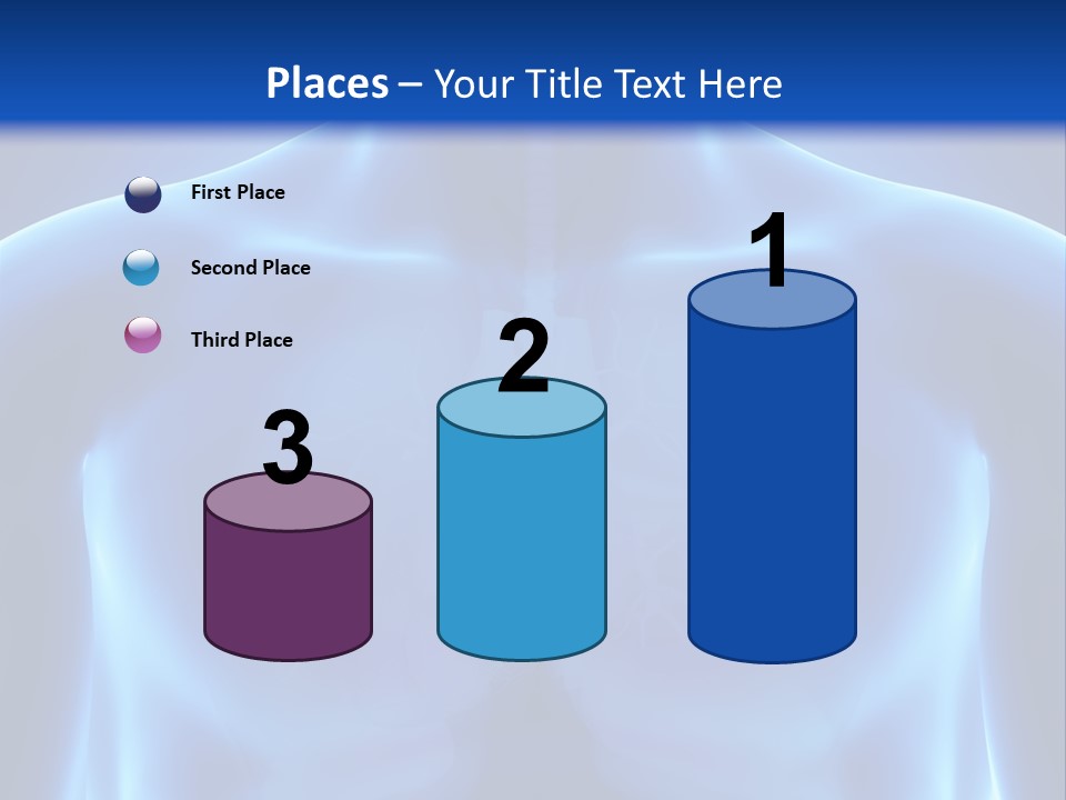 Torso Health Anatomy PowerPoint Template