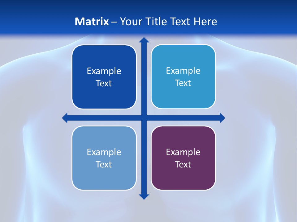 Torso Health Anatomy PowerPoint Template
