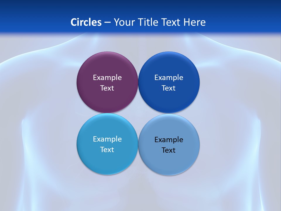 Torso Health Anatomy PowerPoint Template