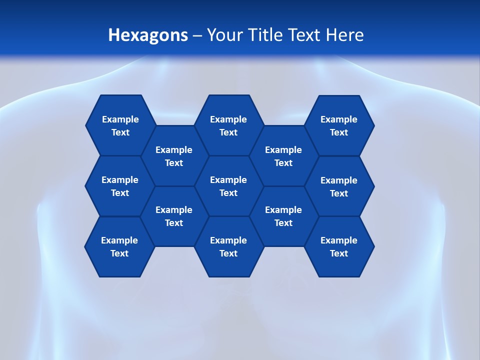 Torso Health Anatomy PowerPoint Template