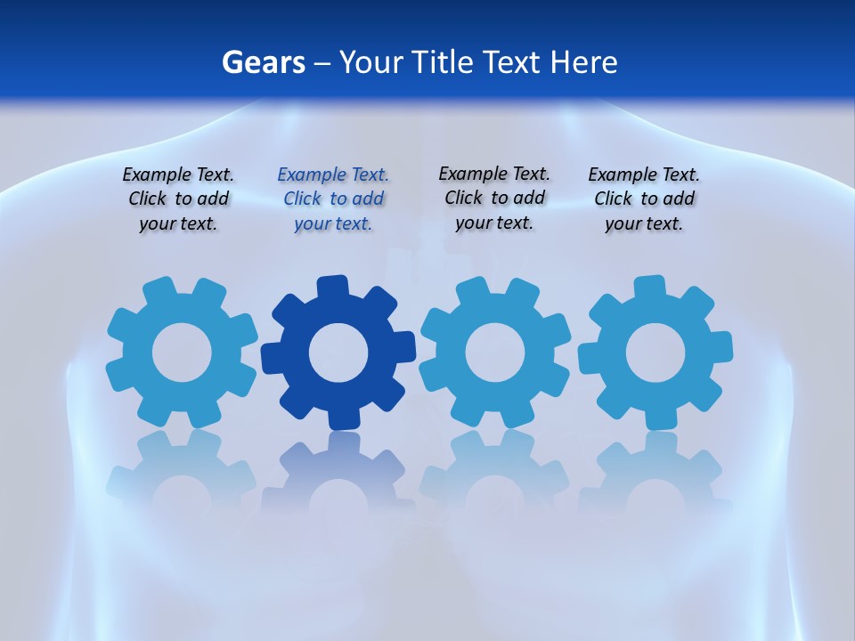 Torso Health Anatomy PowerPoint Template