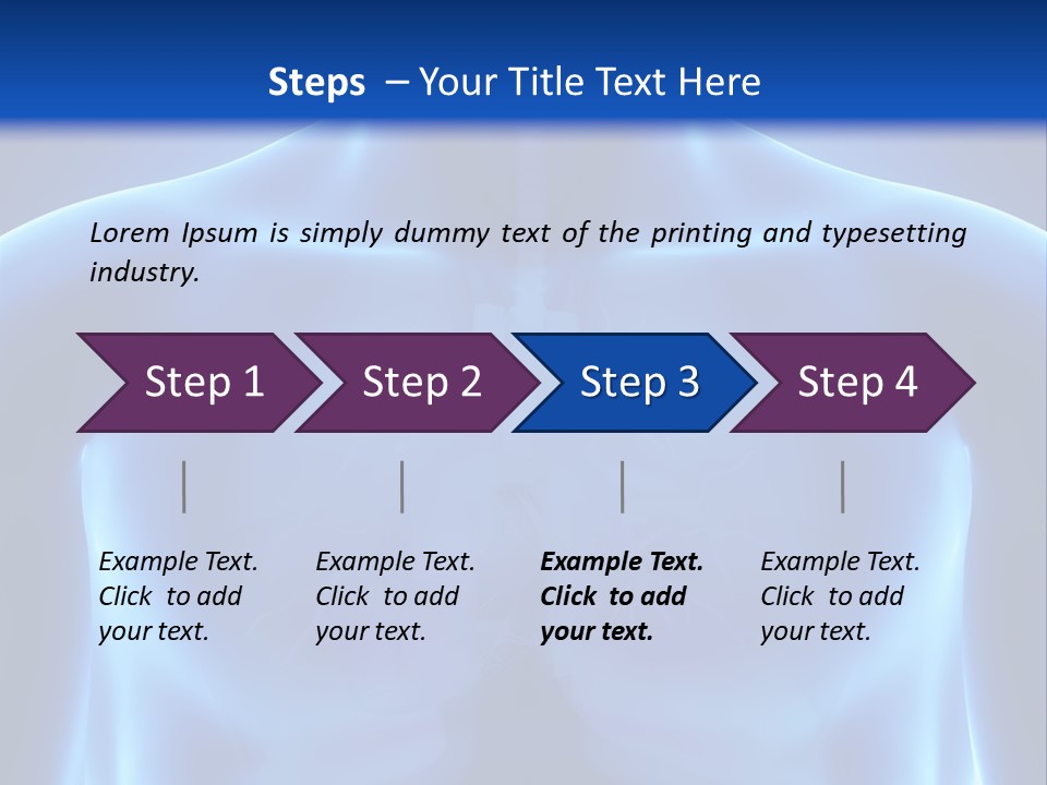 Torso Health Anatomy PowerPoint Template
