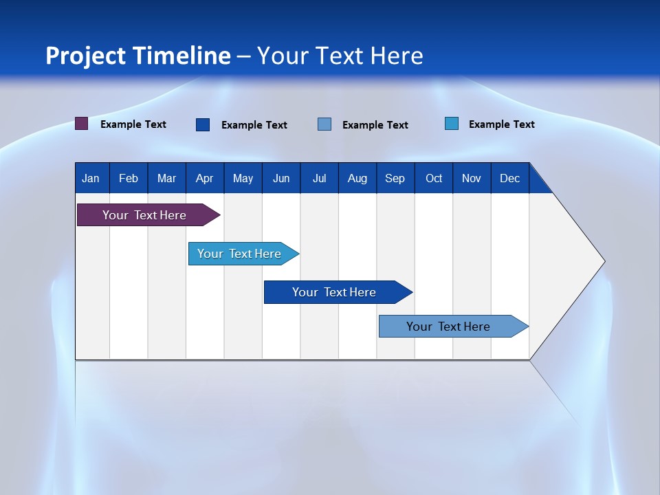 Torso Health Anatomy PowerPoint Template