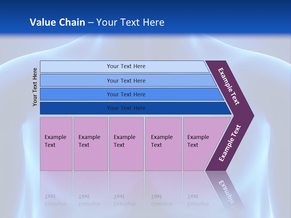 Torso Health Anatomy PowerPoint Template
