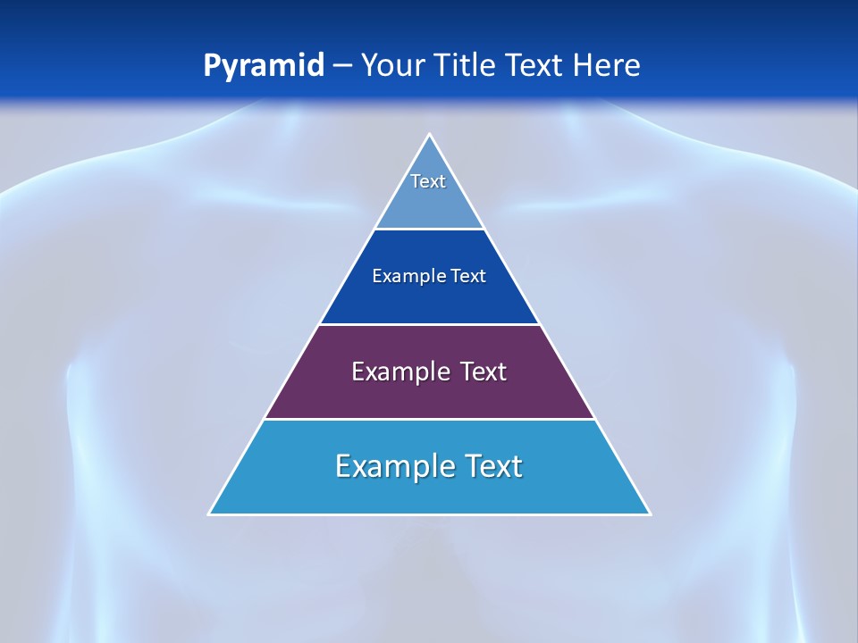 Torso Health Anatomy PowerPoint Template