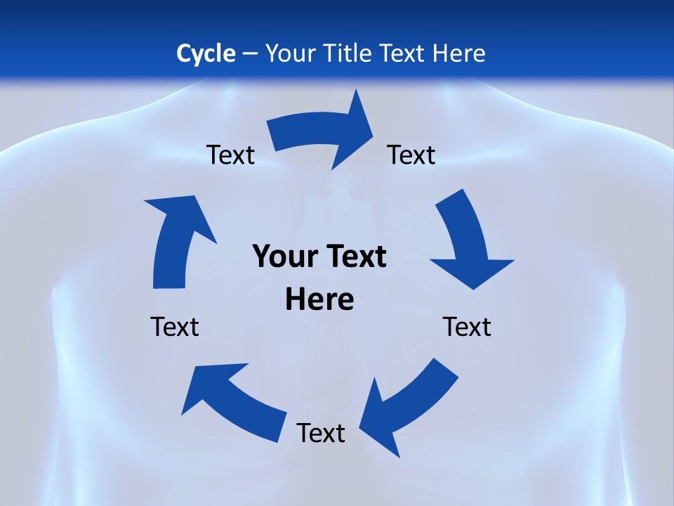 Torso Health Anatomy PowerPoint Template