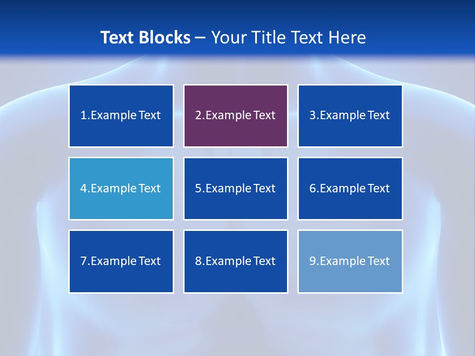 Torso Health Anatomy PowerPoint Template