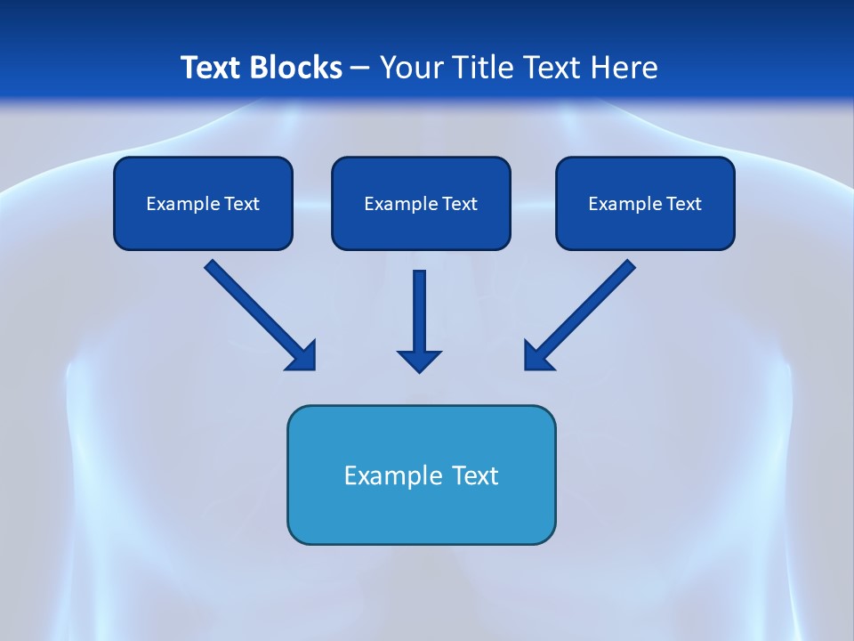 Torso Health Anatomy PowerPoint Template