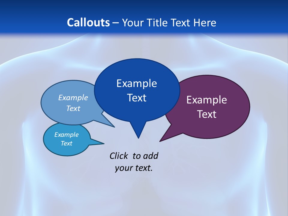 Torso Health Anatomy PowerPoint Template