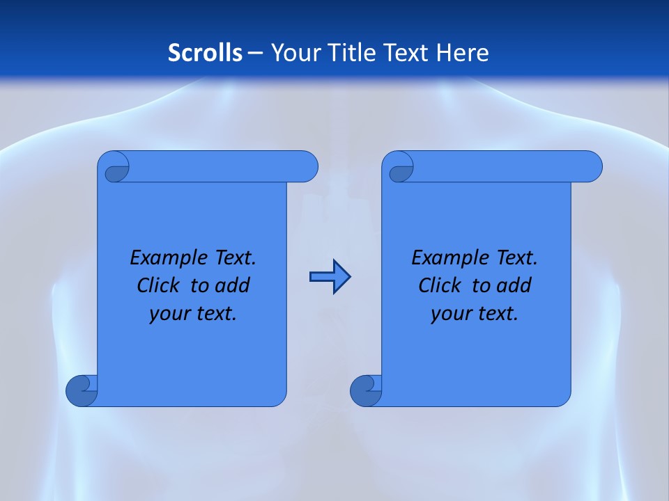 Torso Health Anatomy PowerPoint Template
