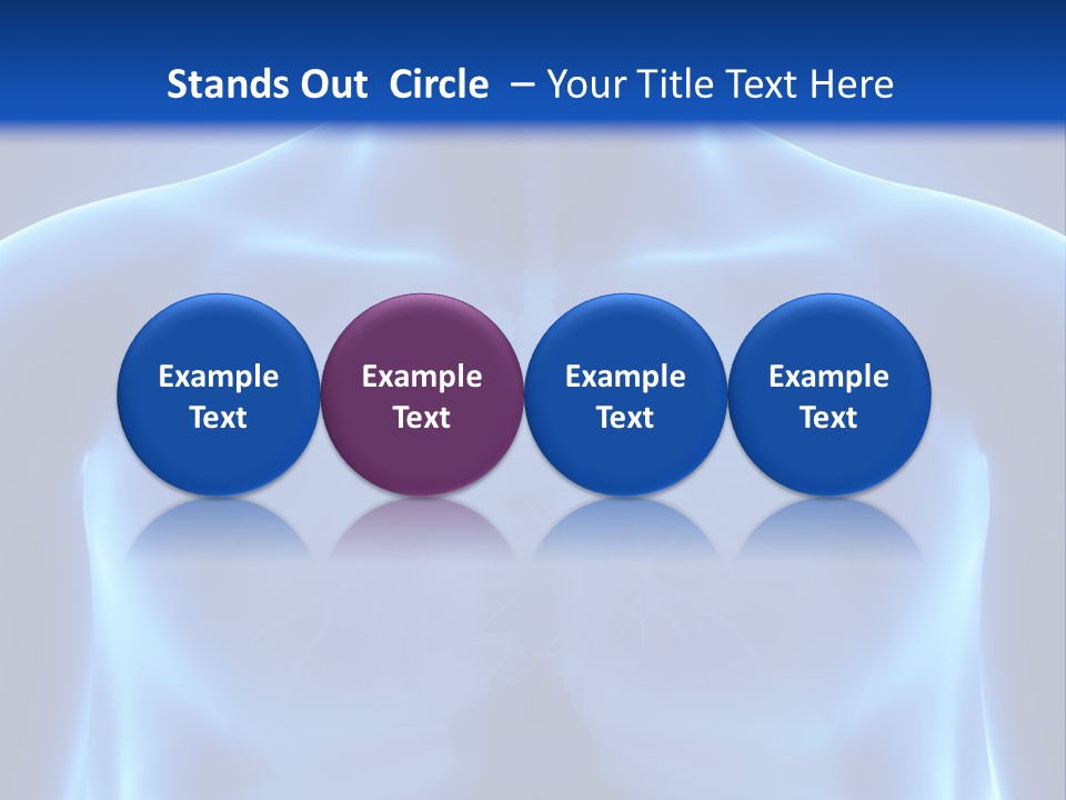 Torso Health Anatomy PowerPoint Template