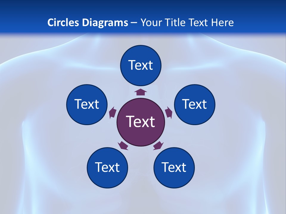 Torso Health Anatomy PowerPoint Template